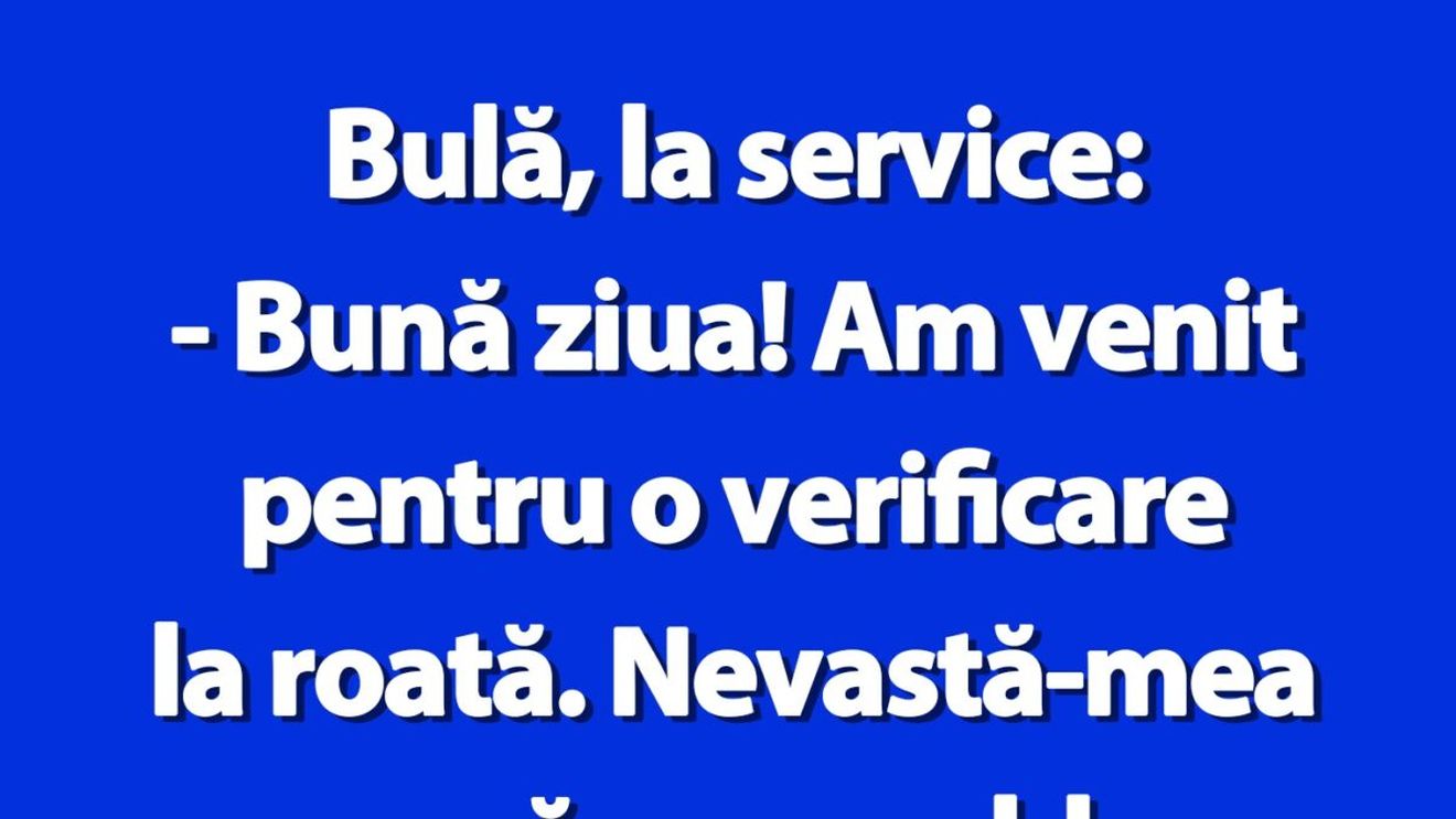 BANC | Bulă, la service: "Am venit pentru o verificare la roată"