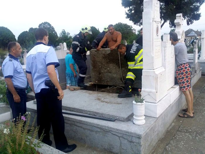 Câine îngropat de viu într-un mormânt dintr-un cimitir din Timiș. Groparii ar fi pus cu bună știință peste el placa de beton a unui cavou. Explicația e halucinantă
