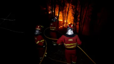 Incendii masive de vegetație în Spania! 2.500 de persoane au fost evacuate dintr-o regiune unde muncesc mii de români