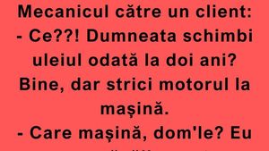 BANC | „Ce?! Dumneata schimbi uleiul odată la doi ani?”