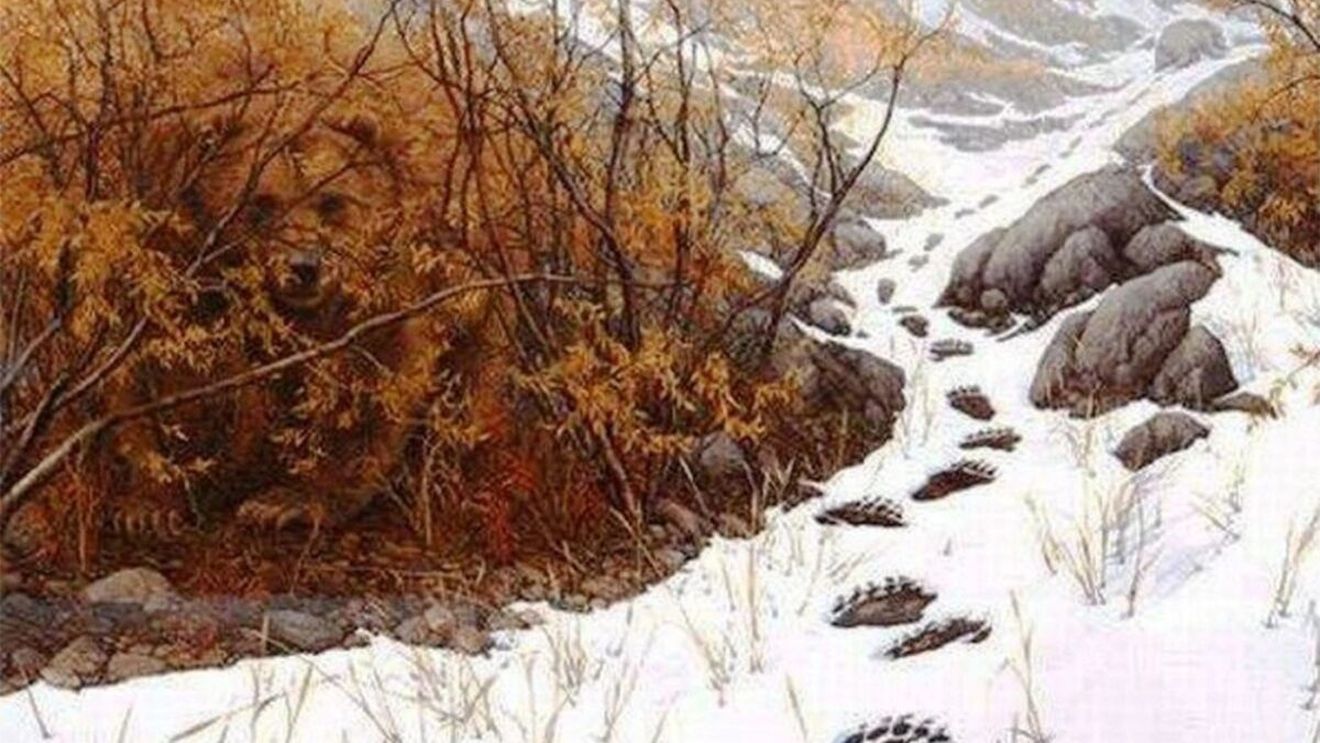 Test de inteligență exclusiv pentru genii | Ale cui sunt urmele de pași lăsate în zăpadă?