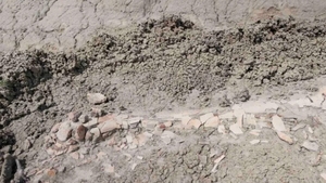 Descoperire rarisimă în istoria omenirii. Ce au găsit acești 3 copii, pe un deal