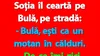 BANC | „Bulă, ești ca un motan în călduri”