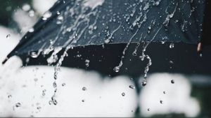Prognoza meteo, 12 martie 2021. Cod galben de ninsori și viscol
