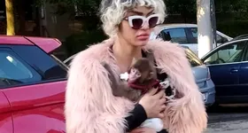 Galerie foto - poza 2