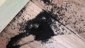 Tu ai mai văzut până acum aceste biluțe mici și negre? O femeie a rămas șocată când le-a descoperit în căsuța de joacă a copiilor săi