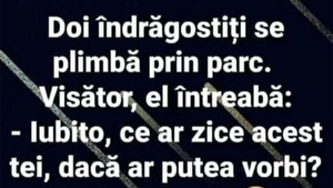 BANC | "Iubito, ce ar zice acest tei dacă ar putea vorbi?"
