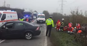 Galerie foto - poza 1