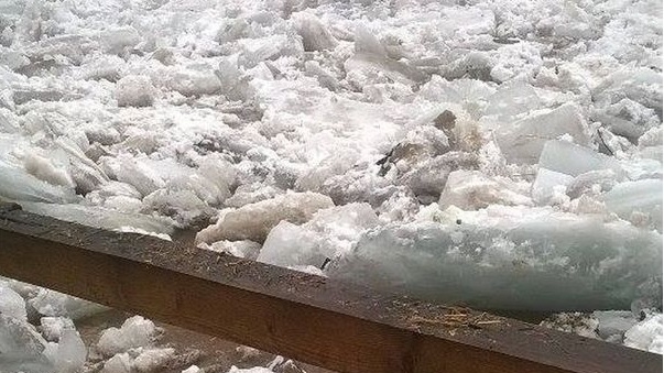 Gospodării afectate de revărsările din Arieşu Mare!