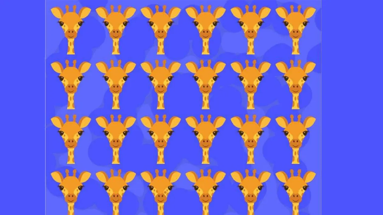 Test de logică | Care dintre cele 24 de girafe este diferită de celelalte 23?