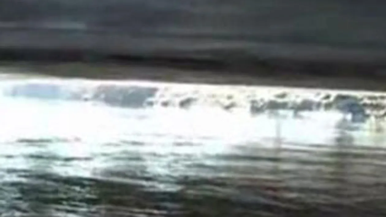 S-a sinucis in acelasi loc in care a comis suicid si tatal lui!