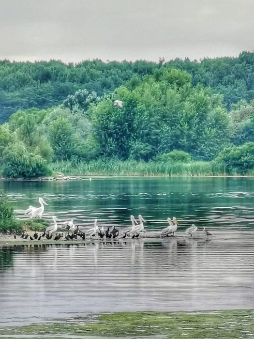 Peisajele de la Ipotești rivalizează cu cele din Delta Dumării