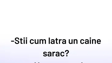 BANCUL ZILEI | Cum latră un câine sărac