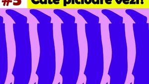 Test IQ de rezolvat în 30 de secunde | Câte picioare sunt, de fapt, în această imagine?