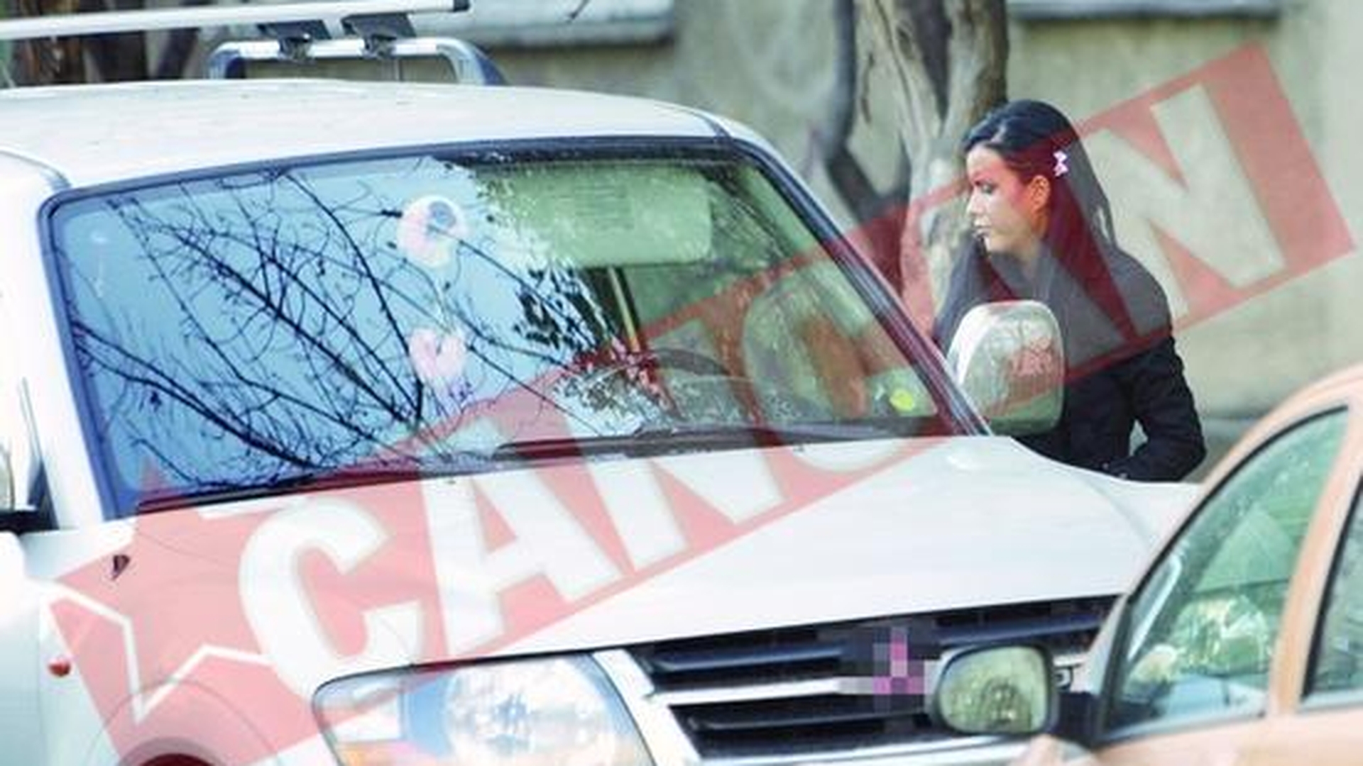 Iubitul elvetian i-a luat casa si masina