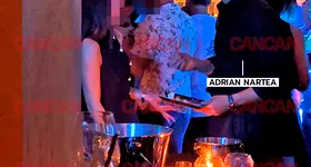 Galerie foto - poza 2