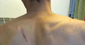 Galerie foto - poza 2