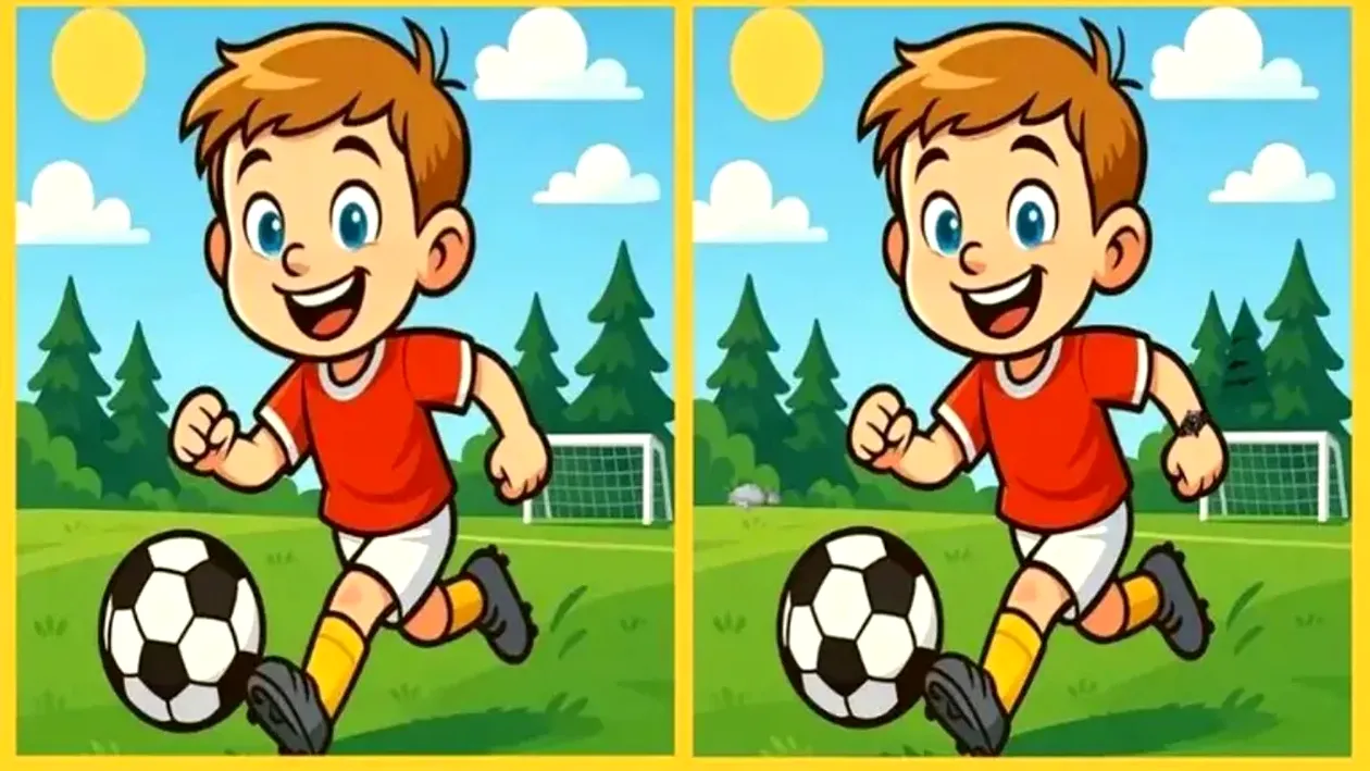 Test IQ | Există 3 diferențe între cele 2 imagini și ai la dispoziție 25 de secunde ca să le descoperi. Le-ai găsit?