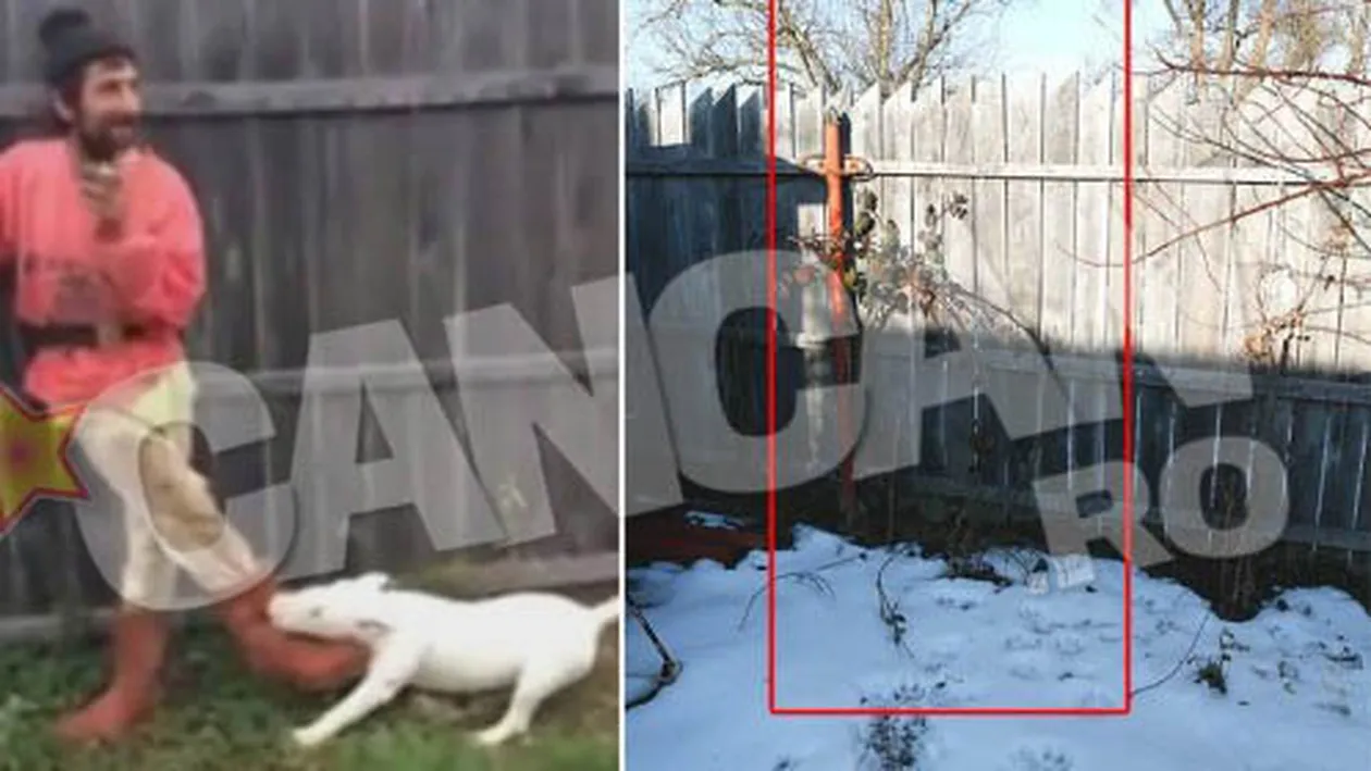 Cainele Papi a murit. Ce a facut Cristi, personajul din viralul care a isterizat o tara intreaga, cand a aflat vestea