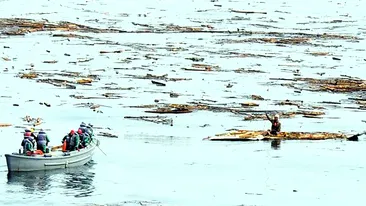 L-au salvat dupa ce a stat 48 de ore pe acoperisul casei