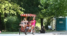 Galerie foto - poza 4