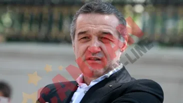 Steaua, in Liga Campionilor? Gigi Becali: Azi mi-a venit o idee! VEZI AICI ce revelatie a avut finantatorul din Ghencea!