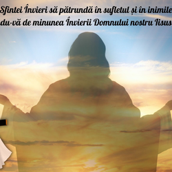 Imagine Galerie #3