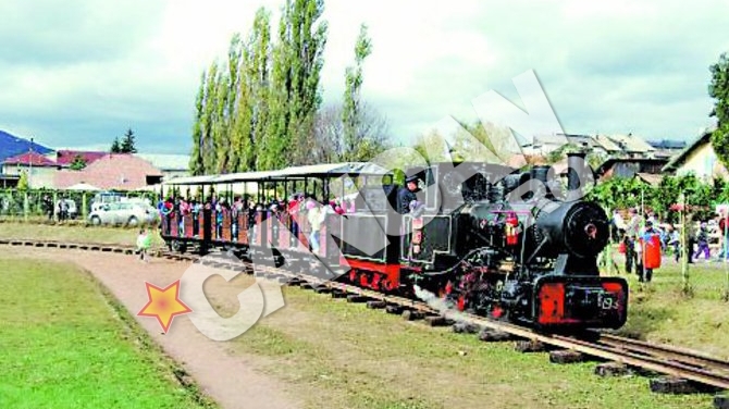 Austriacul Georg Hocevar, acuzat ca a exportat locomotive romanesti "Salvatorul mocanitelor", condamnat la inchisoare