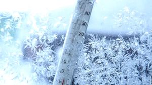 Noi vești proaste din partea meteorologilor! Au fost emise mai multe coduri galbene și portocalii de ninsori și viscol  