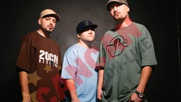 VIDEO Parazitii: Societatea romaneasca trebuie schimbata cu paru`, cu bata, cu parnaia!