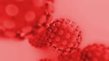 Coronavirus România, 8 decembrie. Numărul crește îngrijorător! 7.439 cazuri noi de persoane infectate cu SARS – CoV – 2 (COVID – 19)