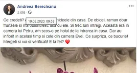 Galerie foto - poza 4