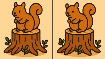 Test de logică | 3 diferențe în maximum 33 de secunde - Le puteți identifica pe toate?