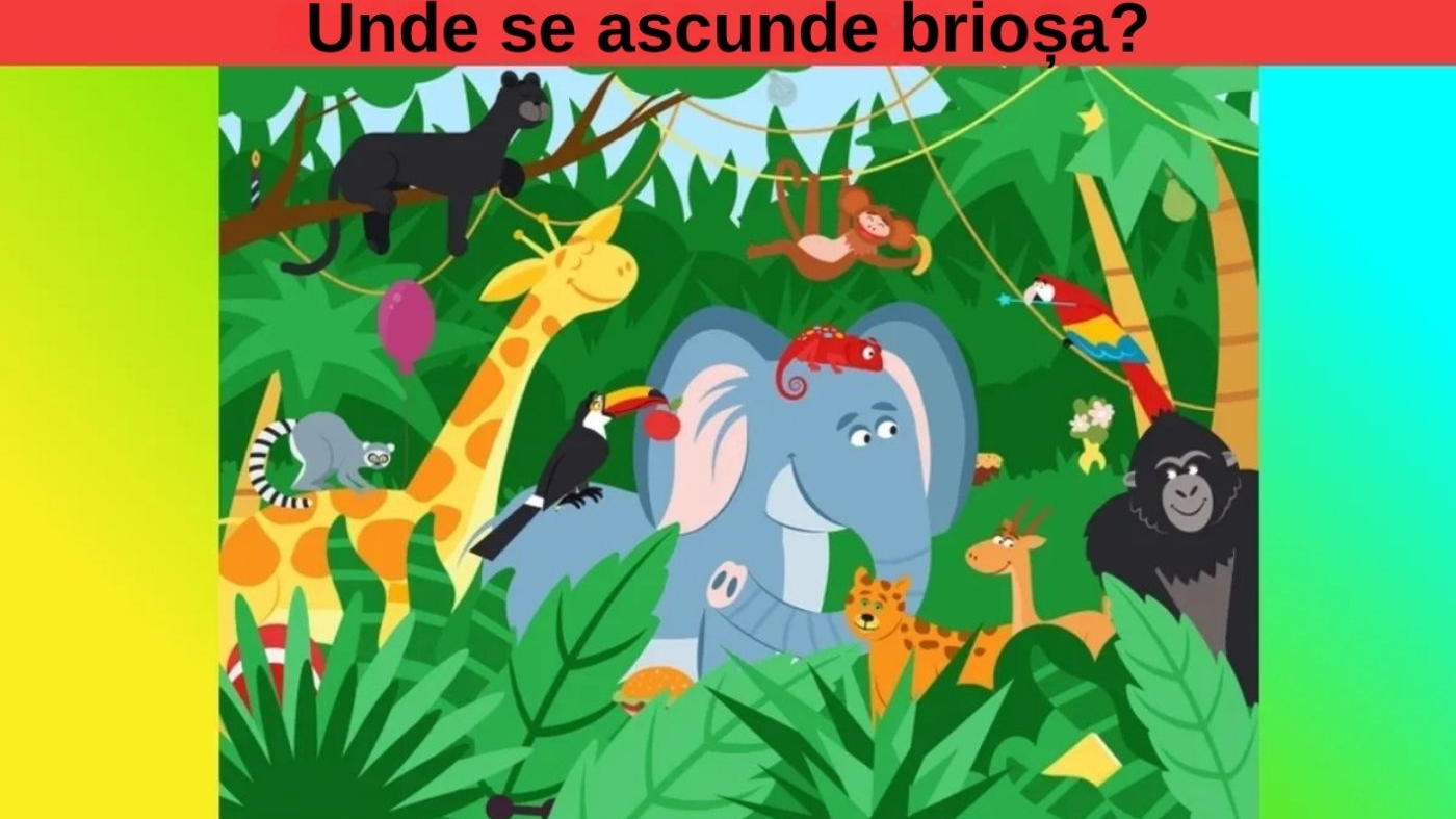 Test IQ | Numai geniile adevărate reușesc să vadă unde se ascunde brioșa, în doar 15 secunde!