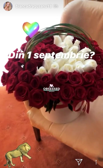 Dovezile sunt clare! Bianca Drăgușanu și Alex Bodi s-au împăcat a treia oară. Cum a fost răsfățată diva