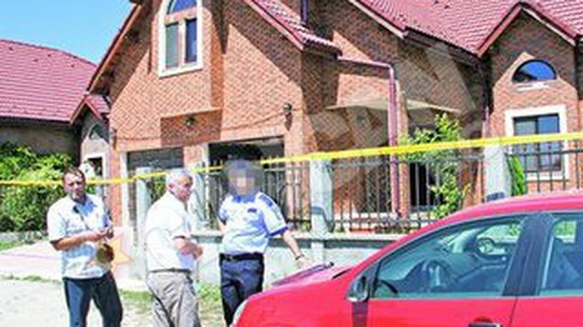 Hotii au intrat noaptea in vila Andreei Cretulescu