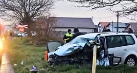 Galerie foto - poza 4