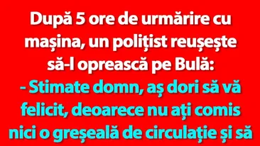 BANC | După 5 ore de urmărire cu mașina, un polițist reușește să-l oprească pe Bulă