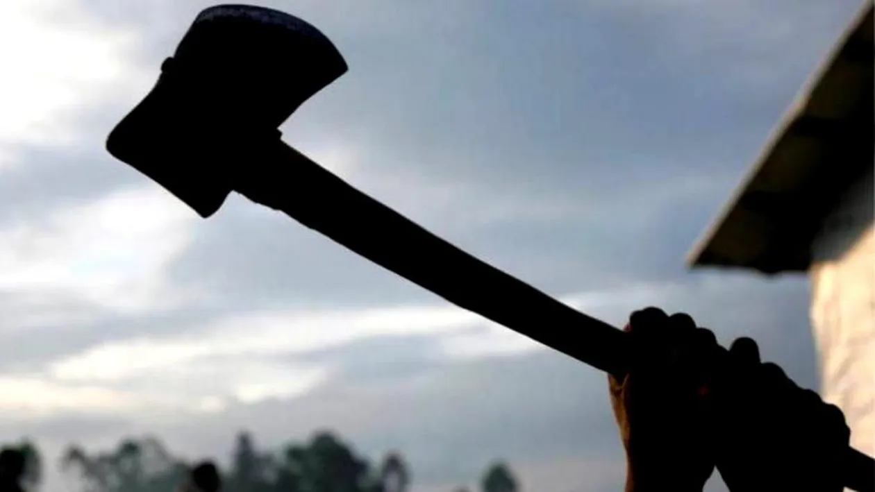 Un viceprimar este acuzat că a taiat cu toporul piciorul unei vaci