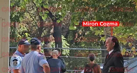 Galerie foto - poza 4