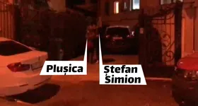 Galerie foto - poza 2