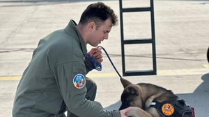 Gest incredibil de curaj al unui pilot F-16 din România. Căpitanul Octavian Palferenț a murit încercând să salveze un câine