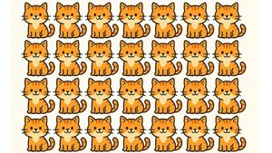 Test de logică | O singură pisică este diferită de toate celelalte. Care?