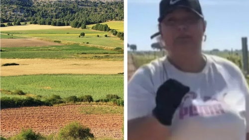 Cât oferă Marinela din Spania pentru munca la vie. Anunțul ei a devenit viral pe TikTok