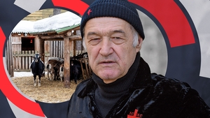 Patronul FCSB i-a îngrozit pe locuitorii unei celebre stațiuni din România! Și-a făcut stână, dar... Câinii lui Gigi Becali le-au omorât caprele și găinile!