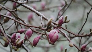 Prognoza meteo azi, 17 martie 2026. Răcire în Transilvania: temperaturi aproape de îngheț în depresiunile montane