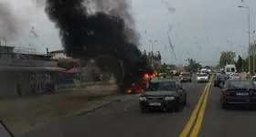 Galerie foto - poza 2