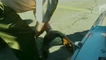 Surprize-surprize! VIDEO Au gasit un sarpe Boa de trei metri sub capota masinii