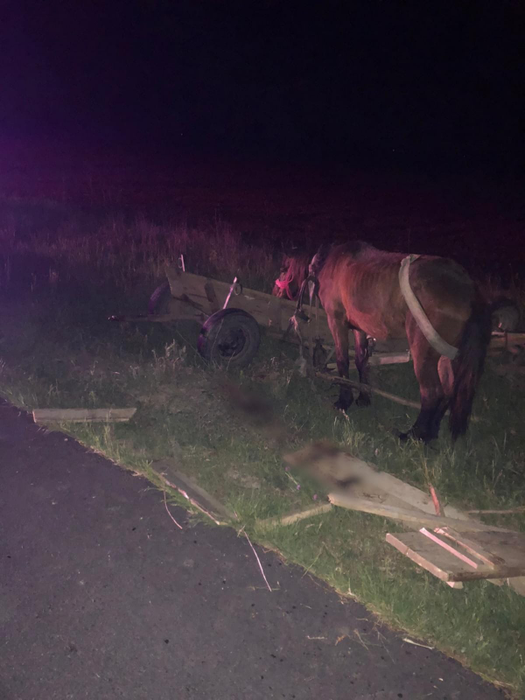 Beat criță, un tânăr din Prahova a părăsit locul accidentului și a abandonat victima într-un șanț