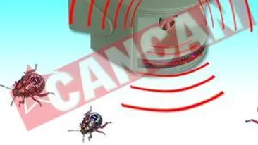 Cum scapam de gandaci si sobolani in stil modern